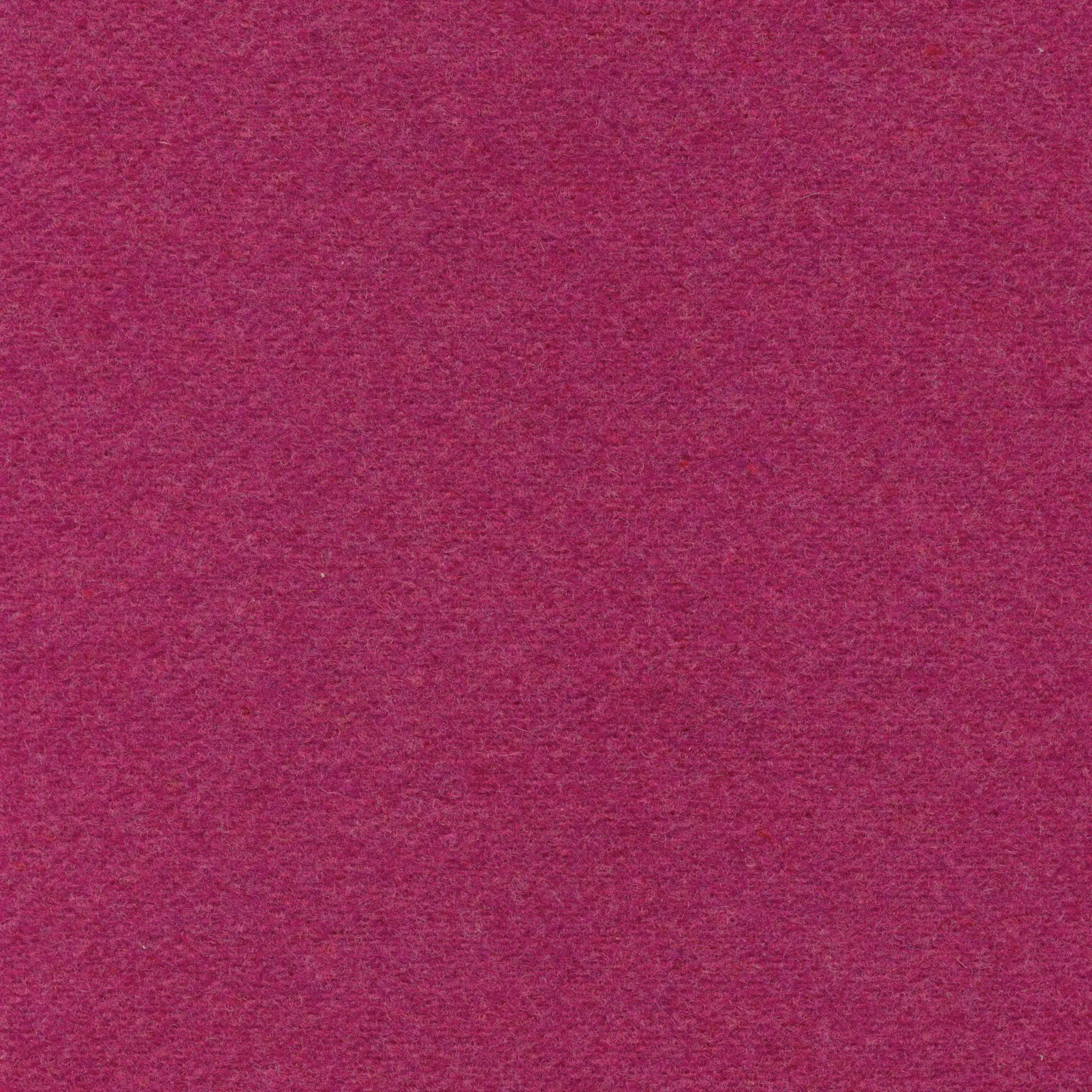 Fuchsia 003 | Norma