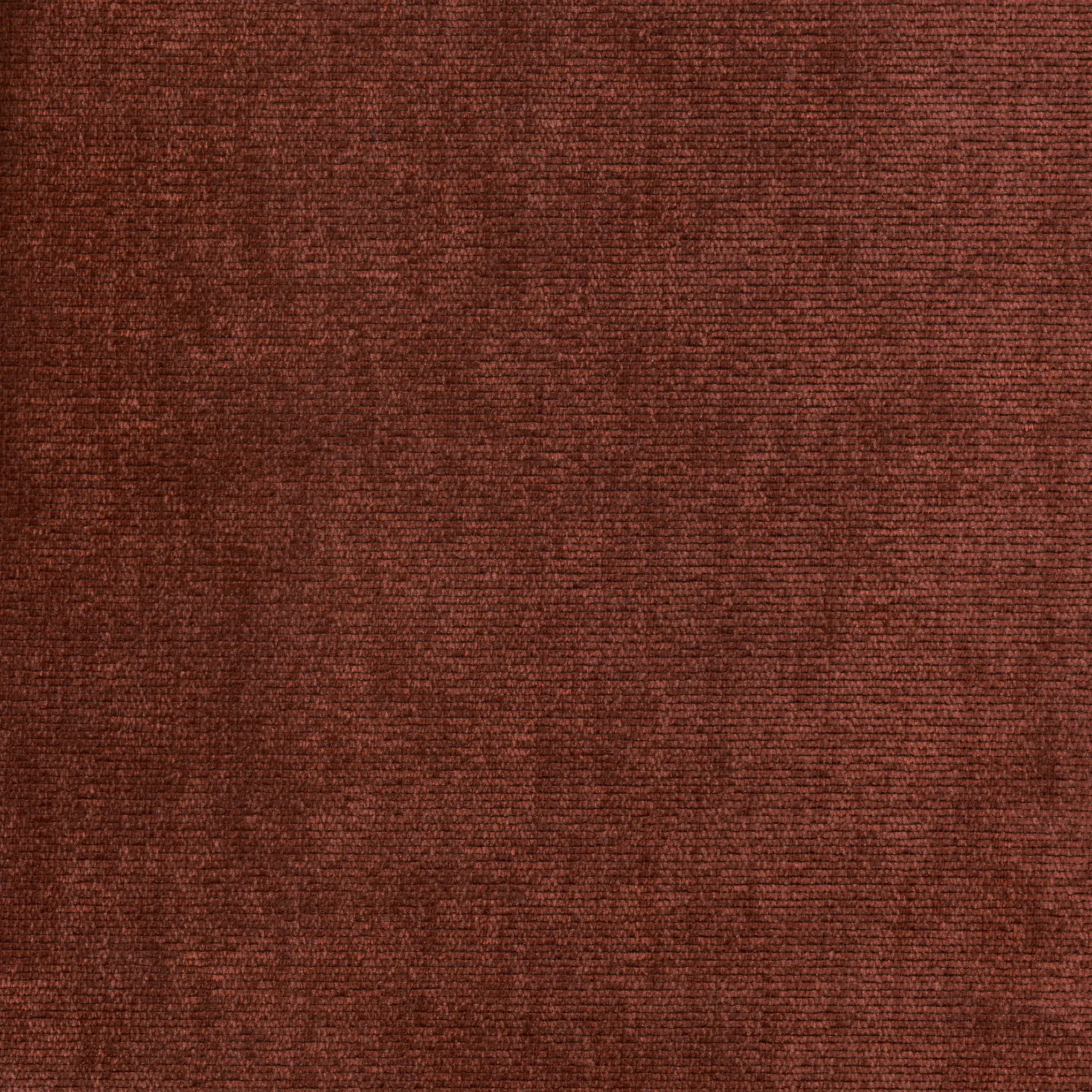 Vino 21 | Verner