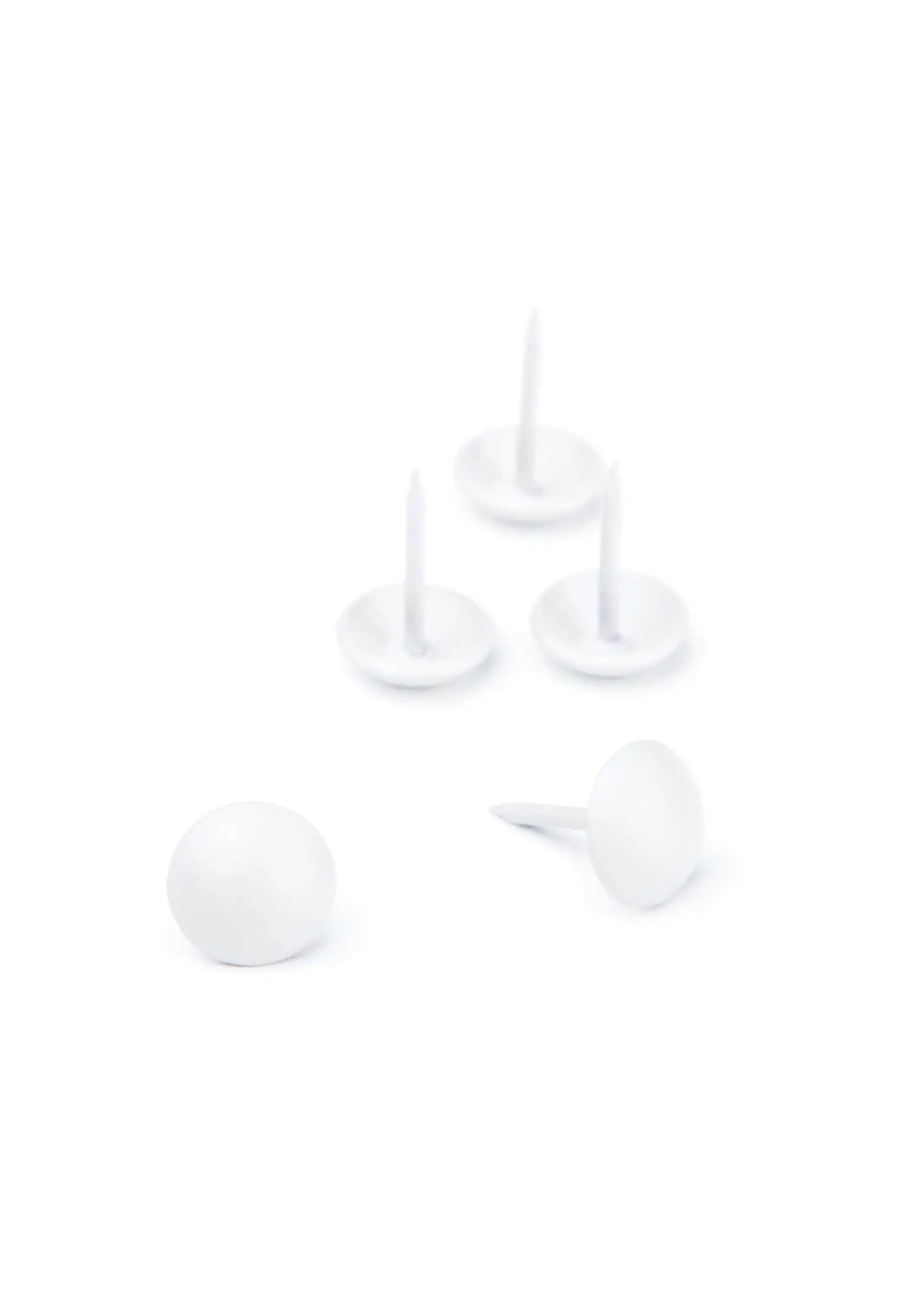 Nail NC White 101 | Nails & Buttons