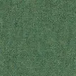 Seagrass 64 | Wool