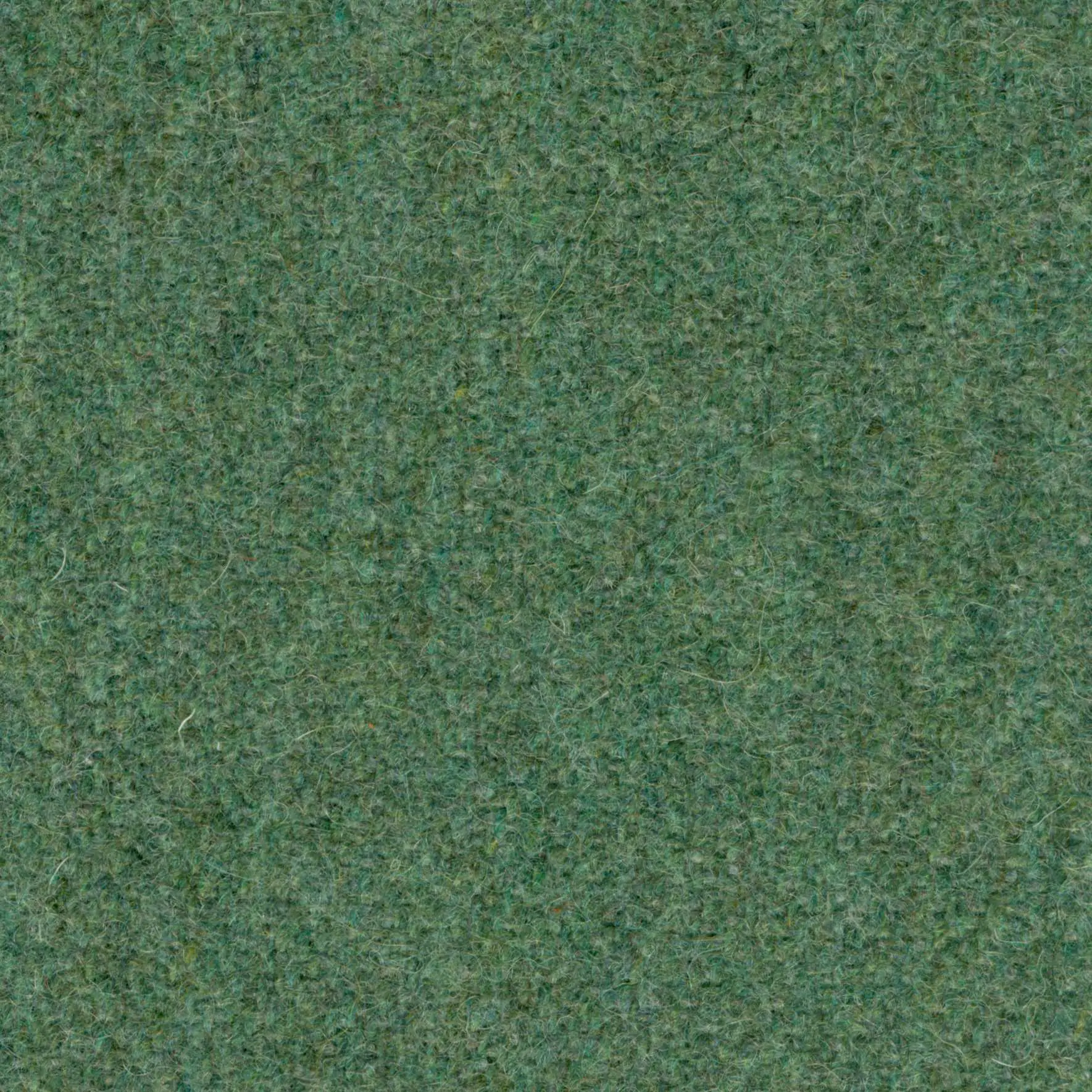 Seagrass 64 | Wool