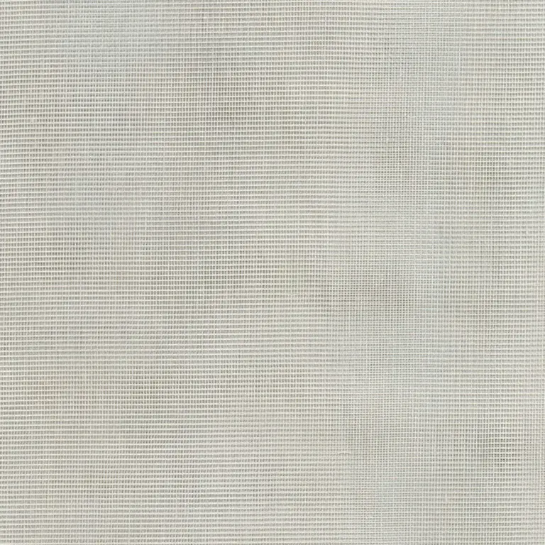 Silver 54
