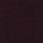 Eggplant 706 | Petrus