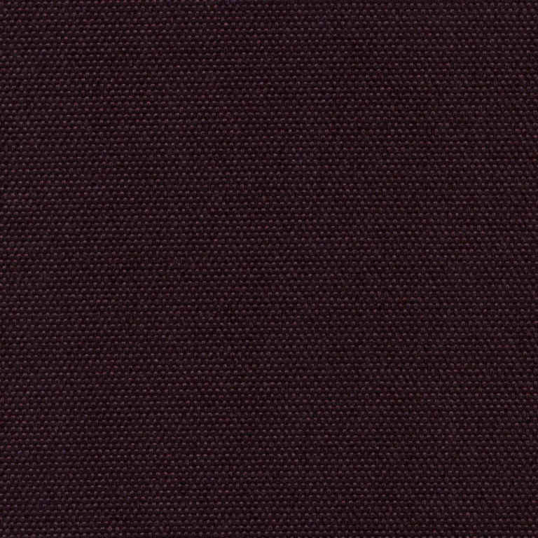 Eggplant 706