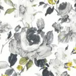 Charcoal 04 | Otylia