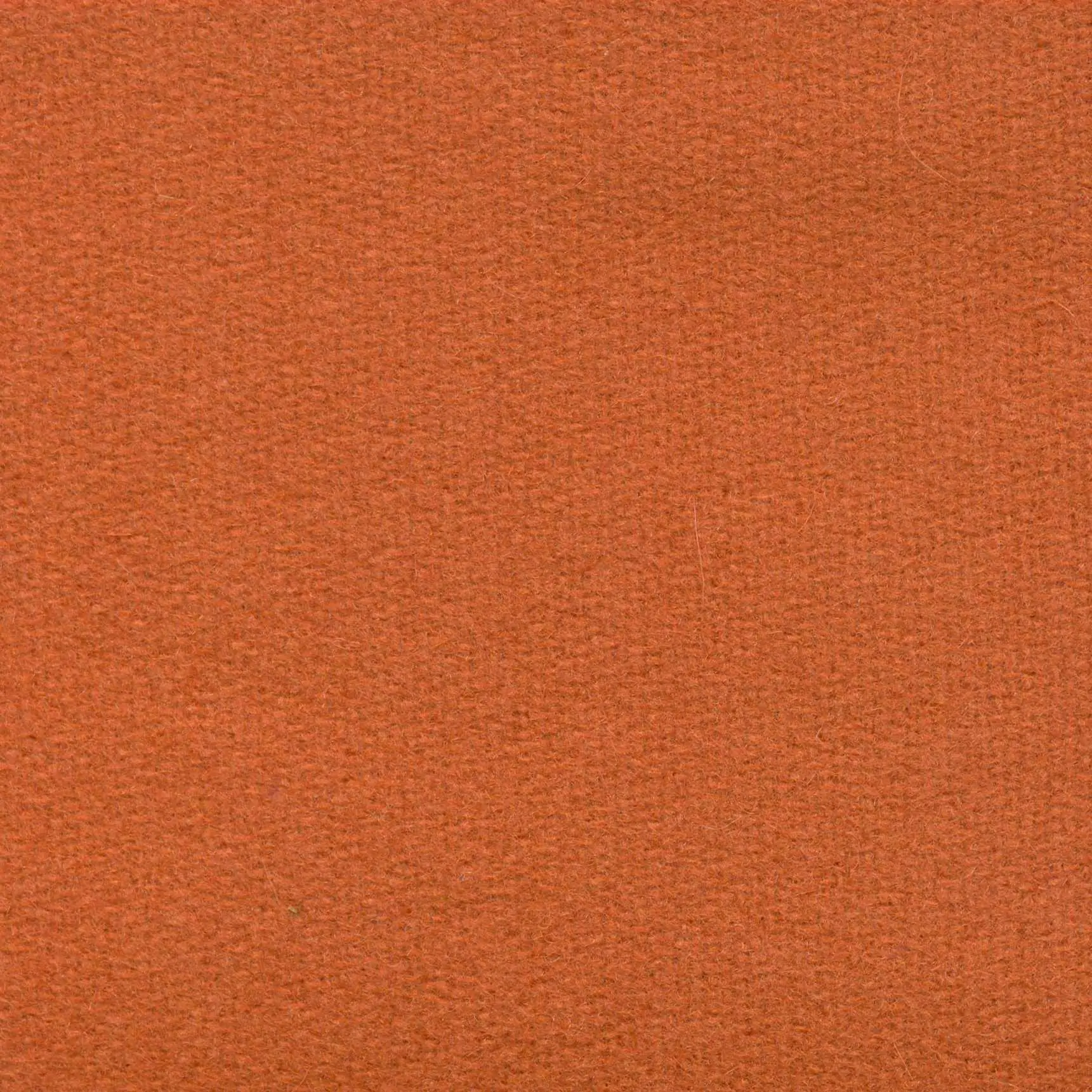 Pumpkin H746 | Savoy FR