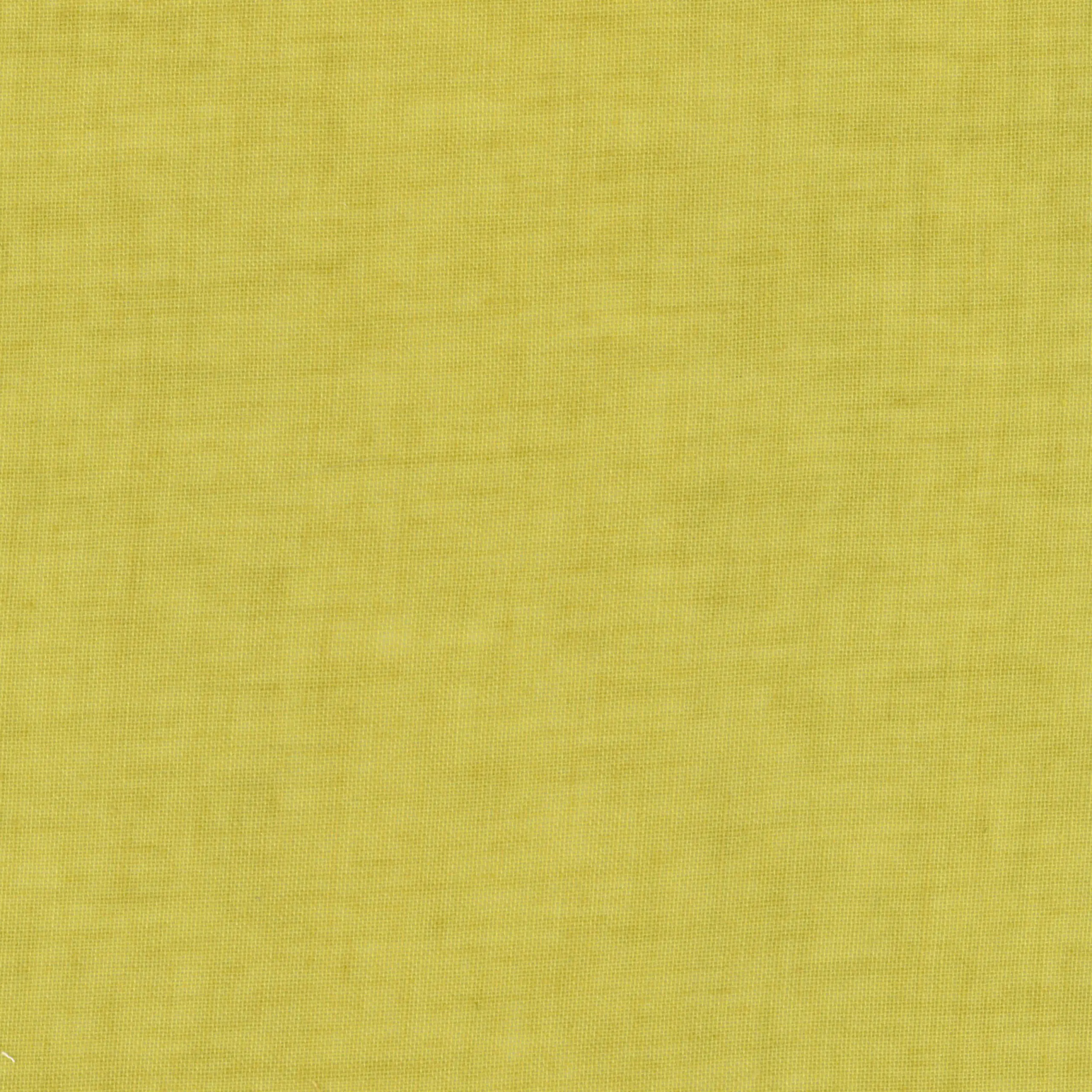 Lime 15 | Livia