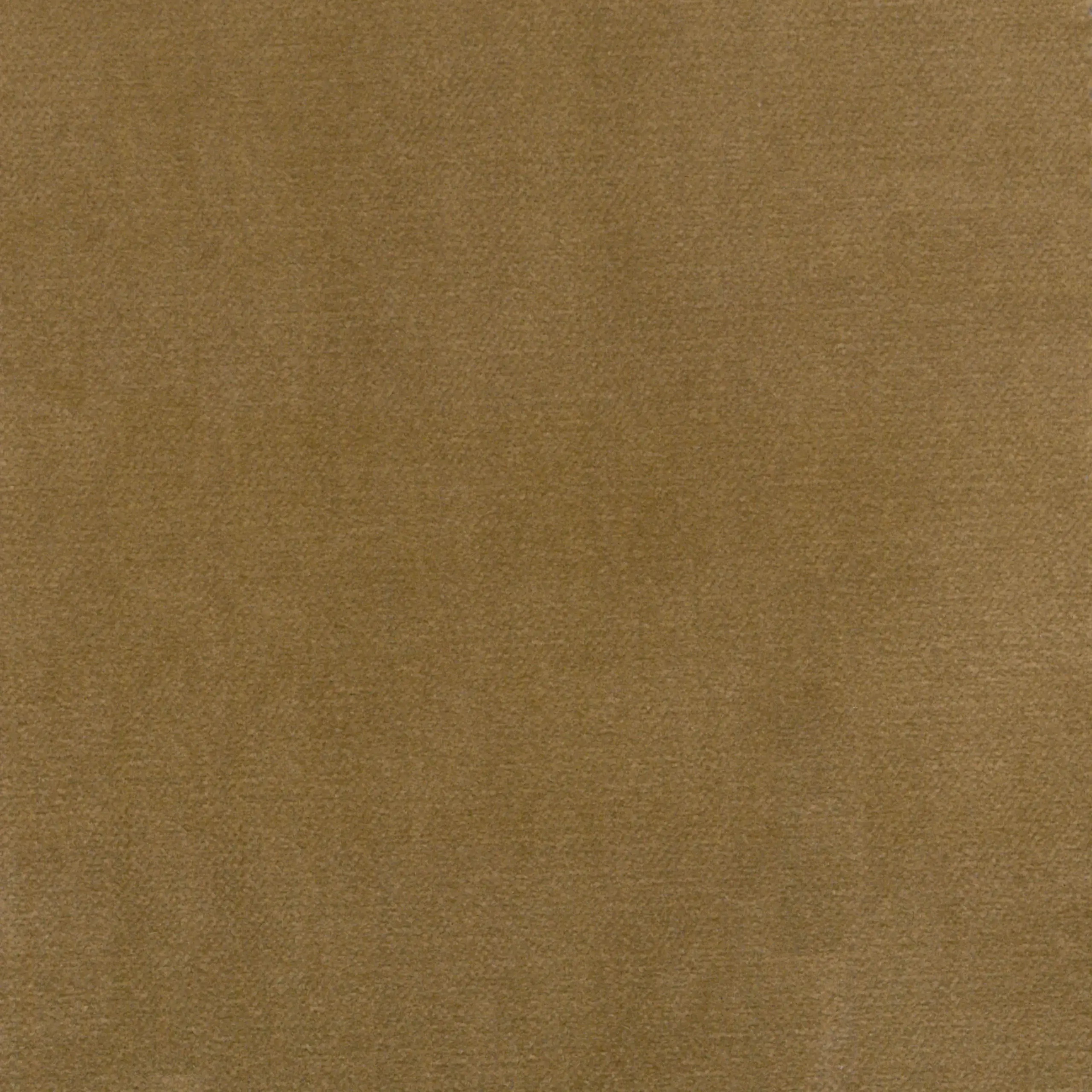 Zloty 23 | Oregano