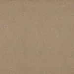 Sepia 064 | Star