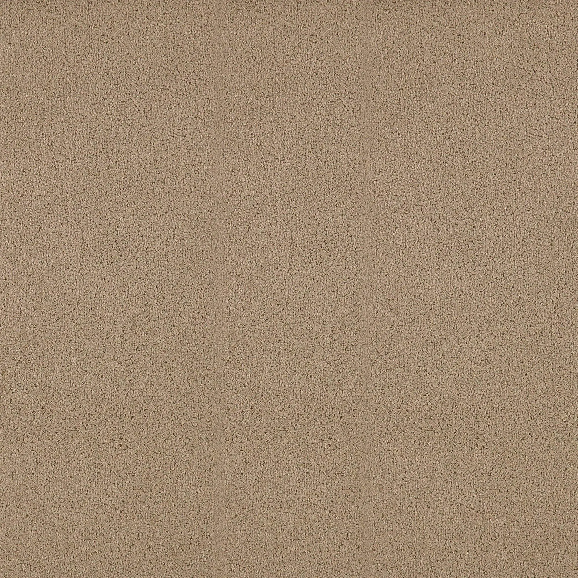 Sepia 064 | Star