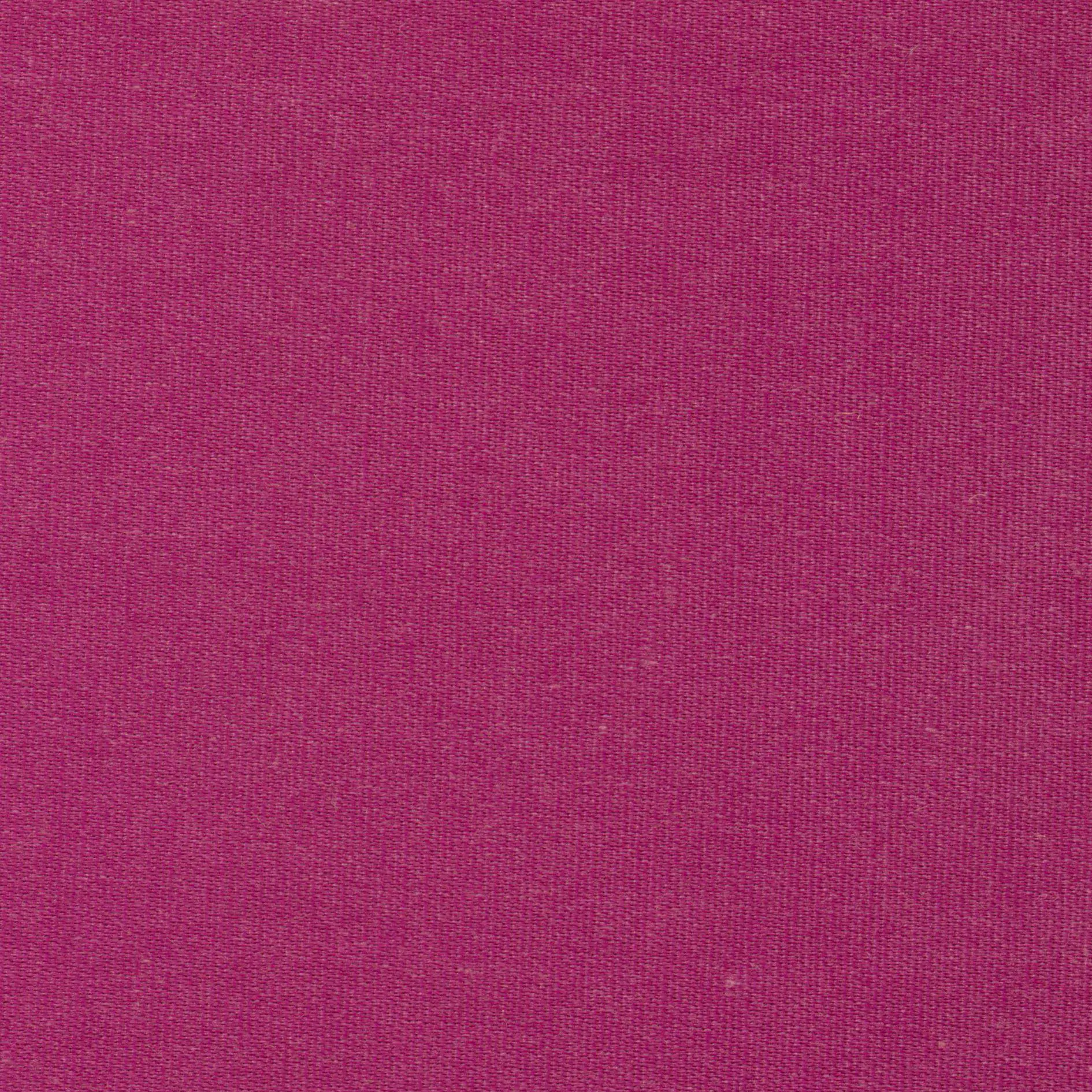 Emperor 31 | Melba