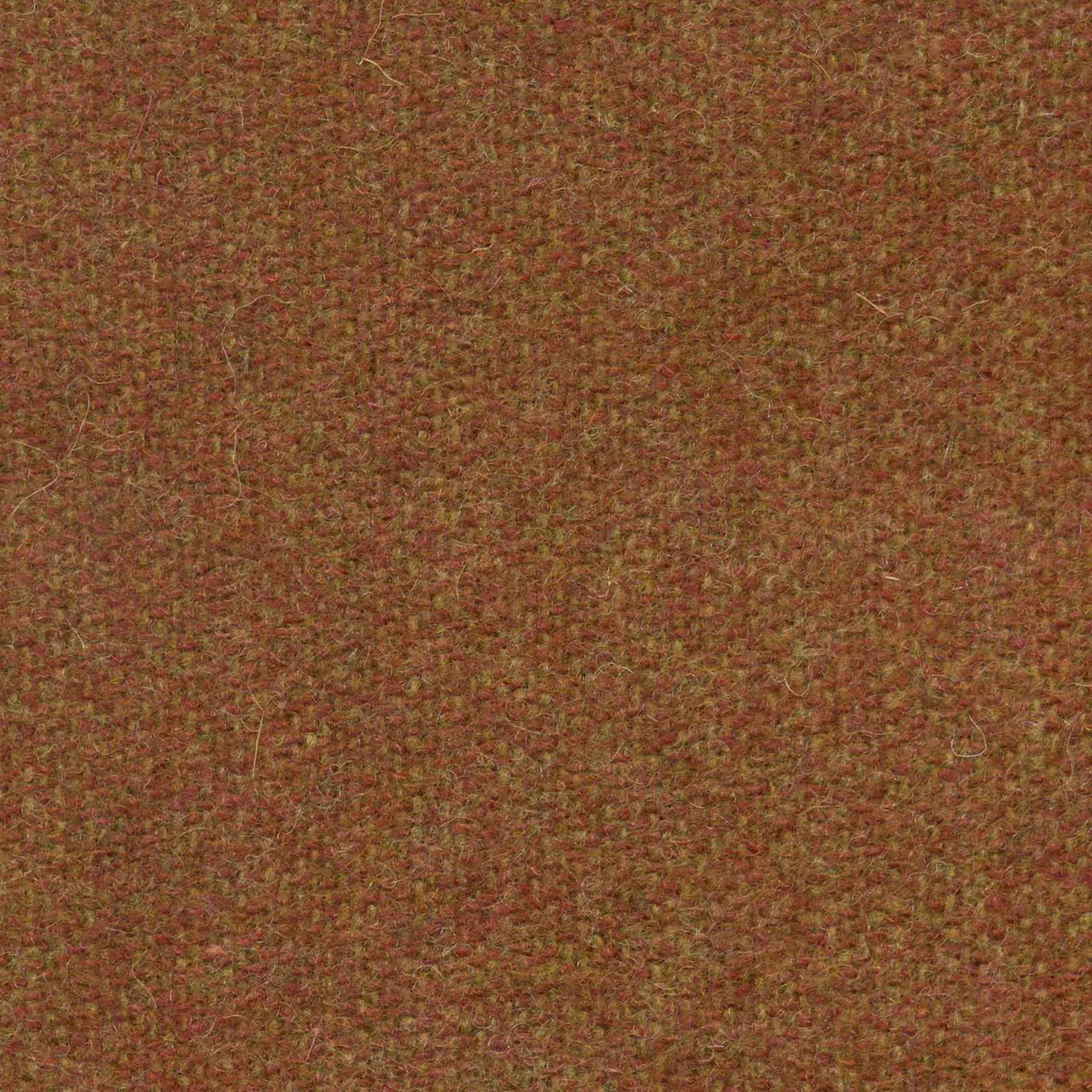 Rust 441 | Savoy FR