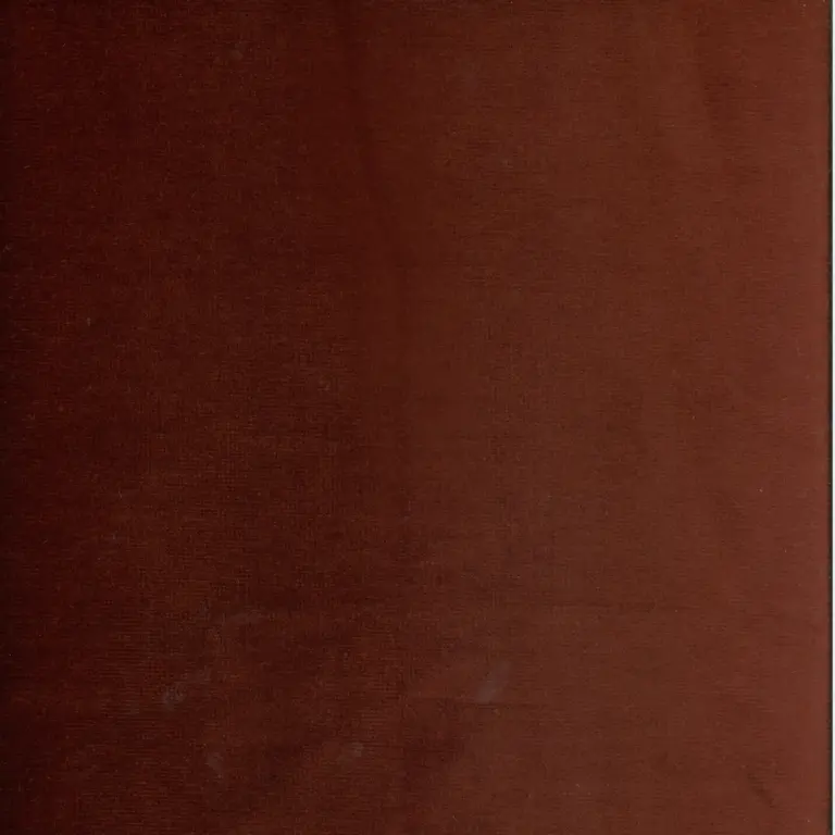 Vino 13