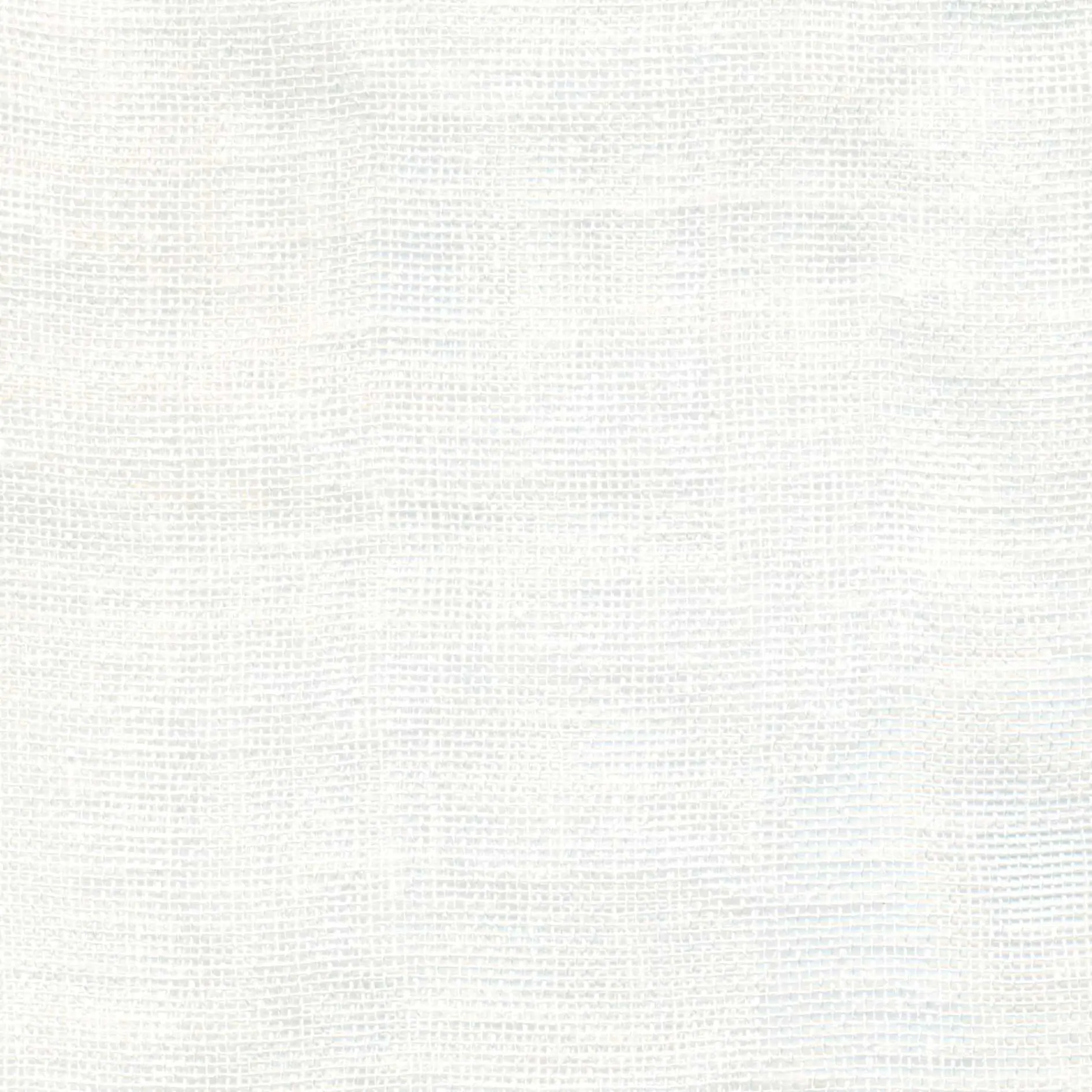 White 503 | Puro