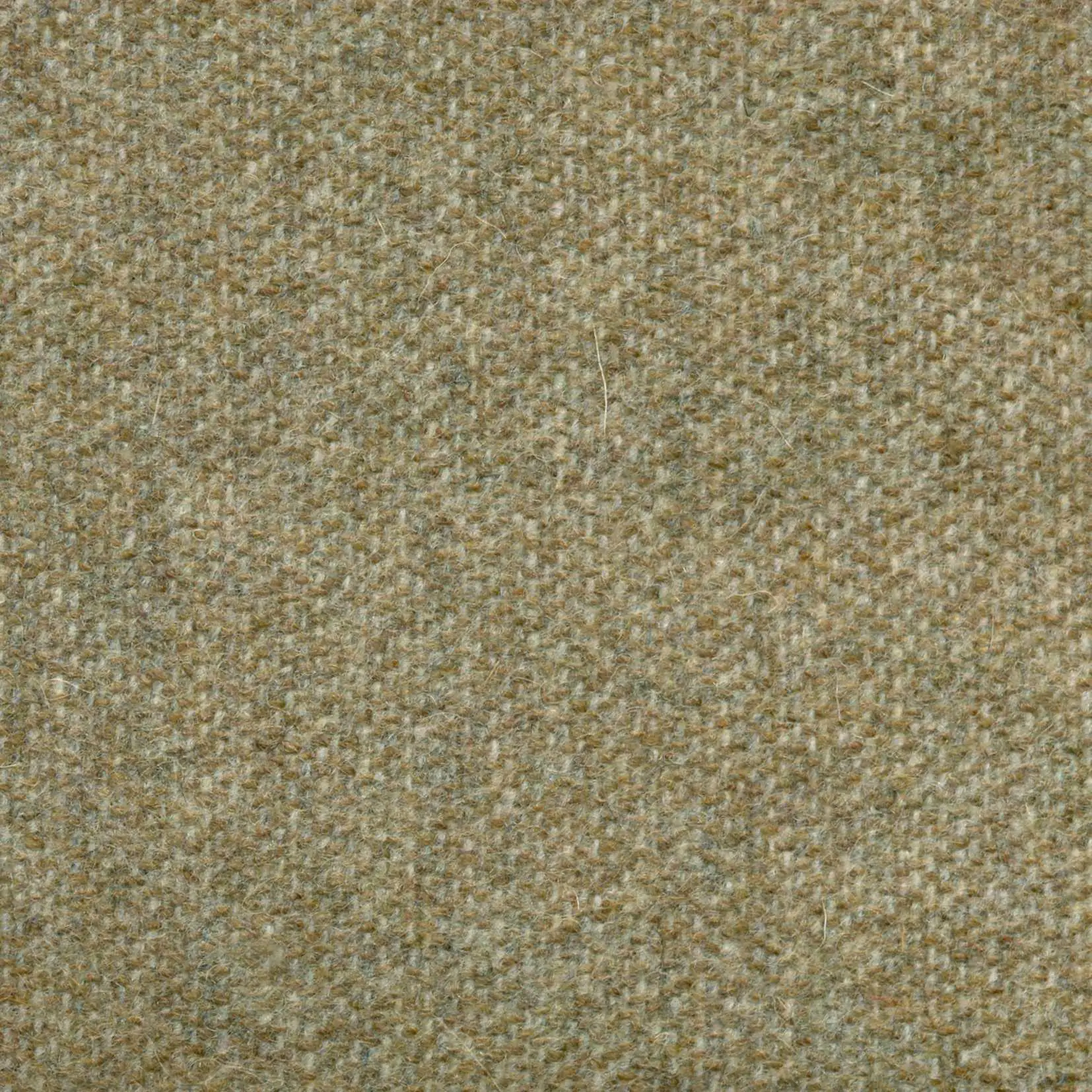 Celadon 538 | Savoy FR