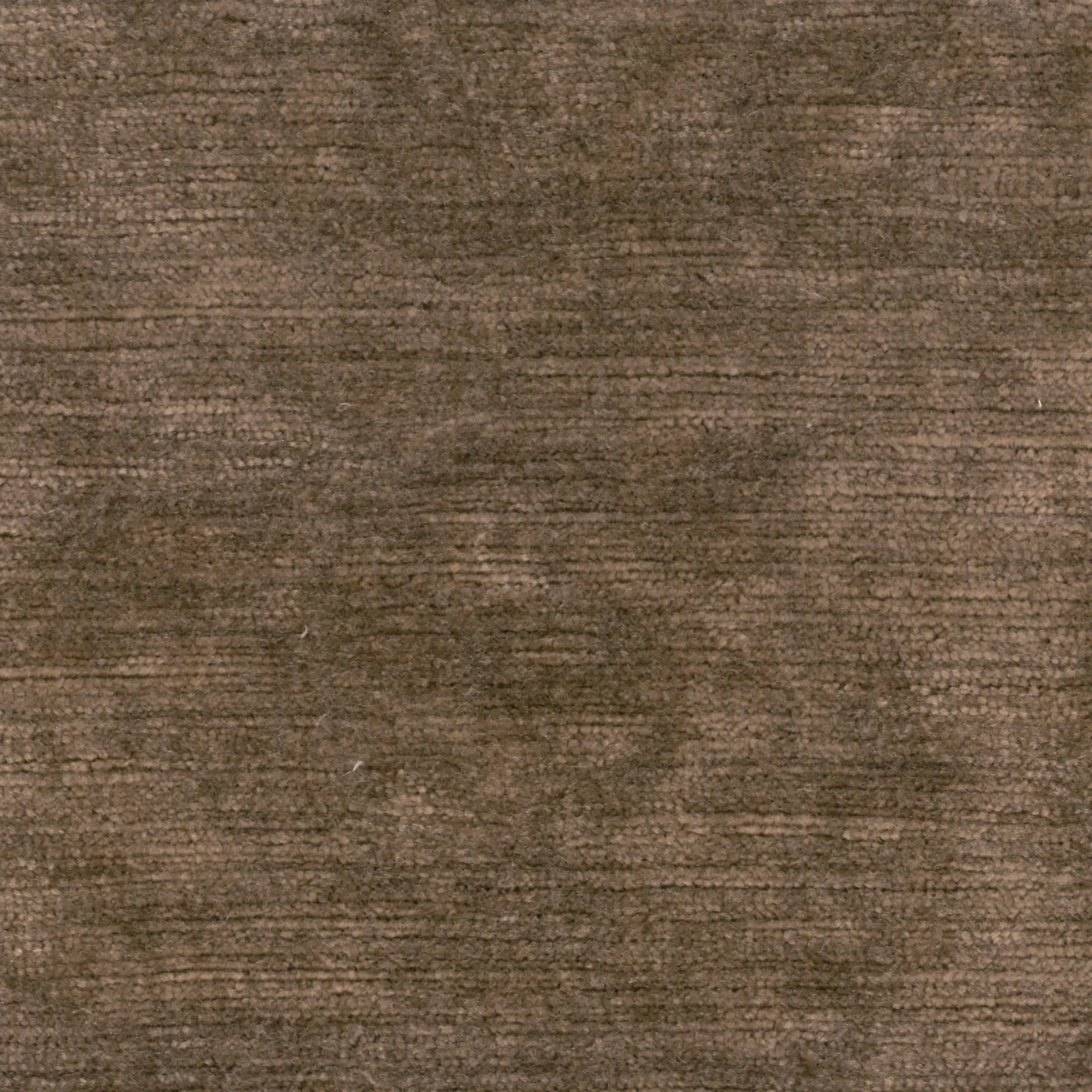 Chestnut 4 | Lavender