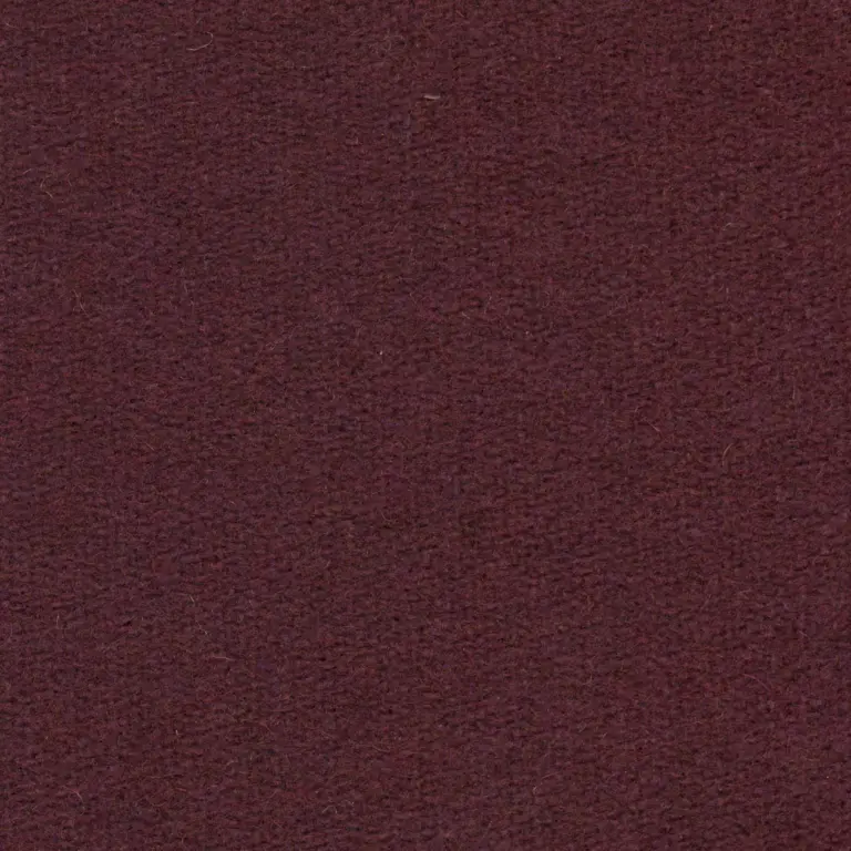 Aubergine 444