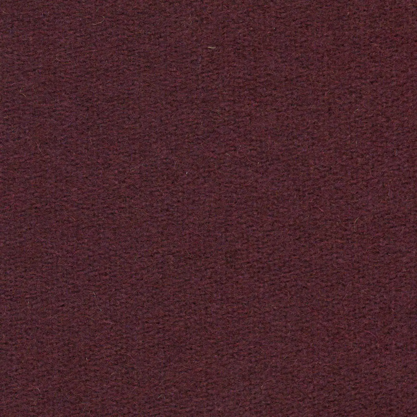 Aubergine 444 | Savoy FR