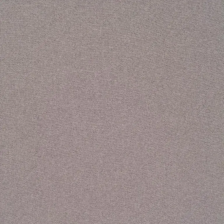 Silver 07