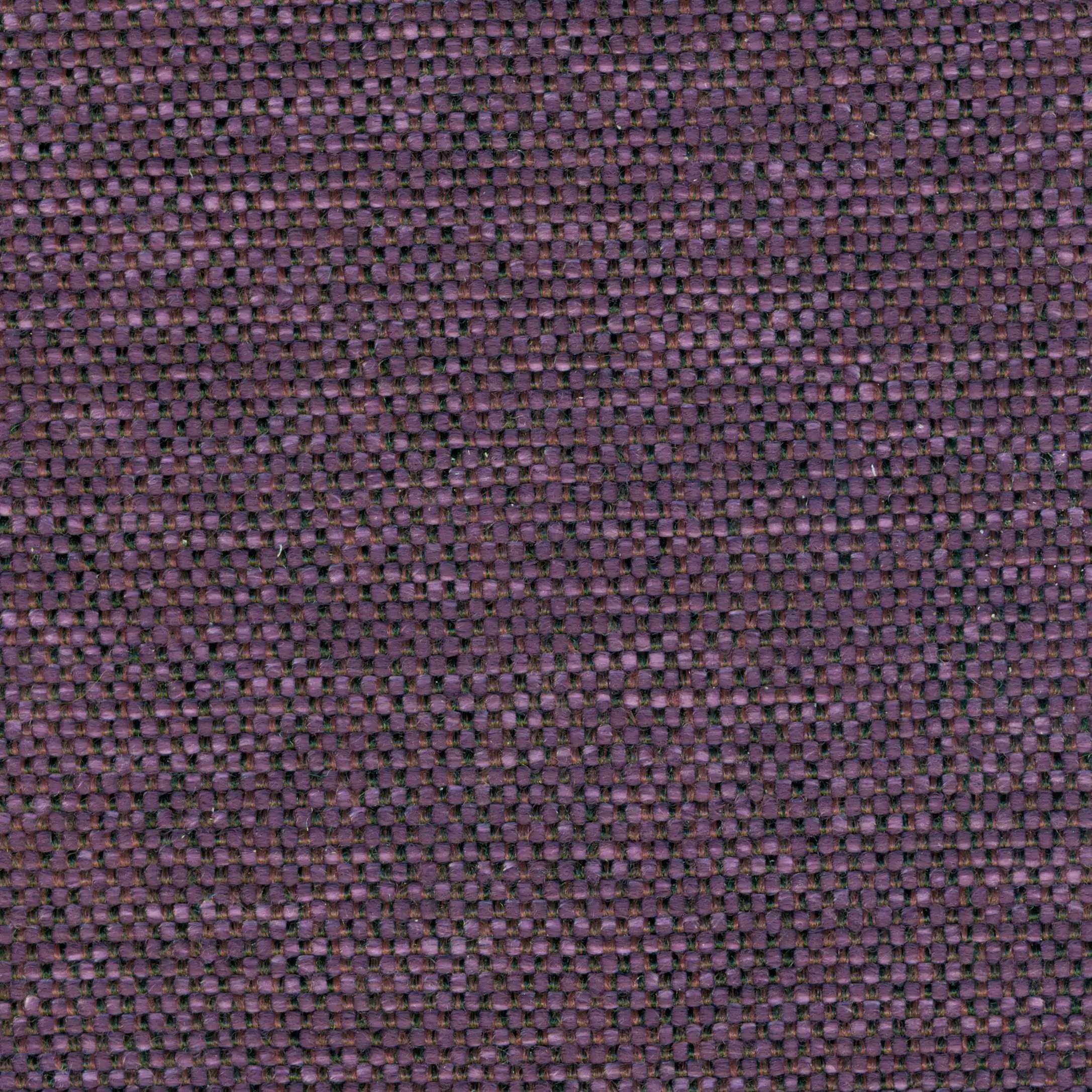 12141 | Mango
