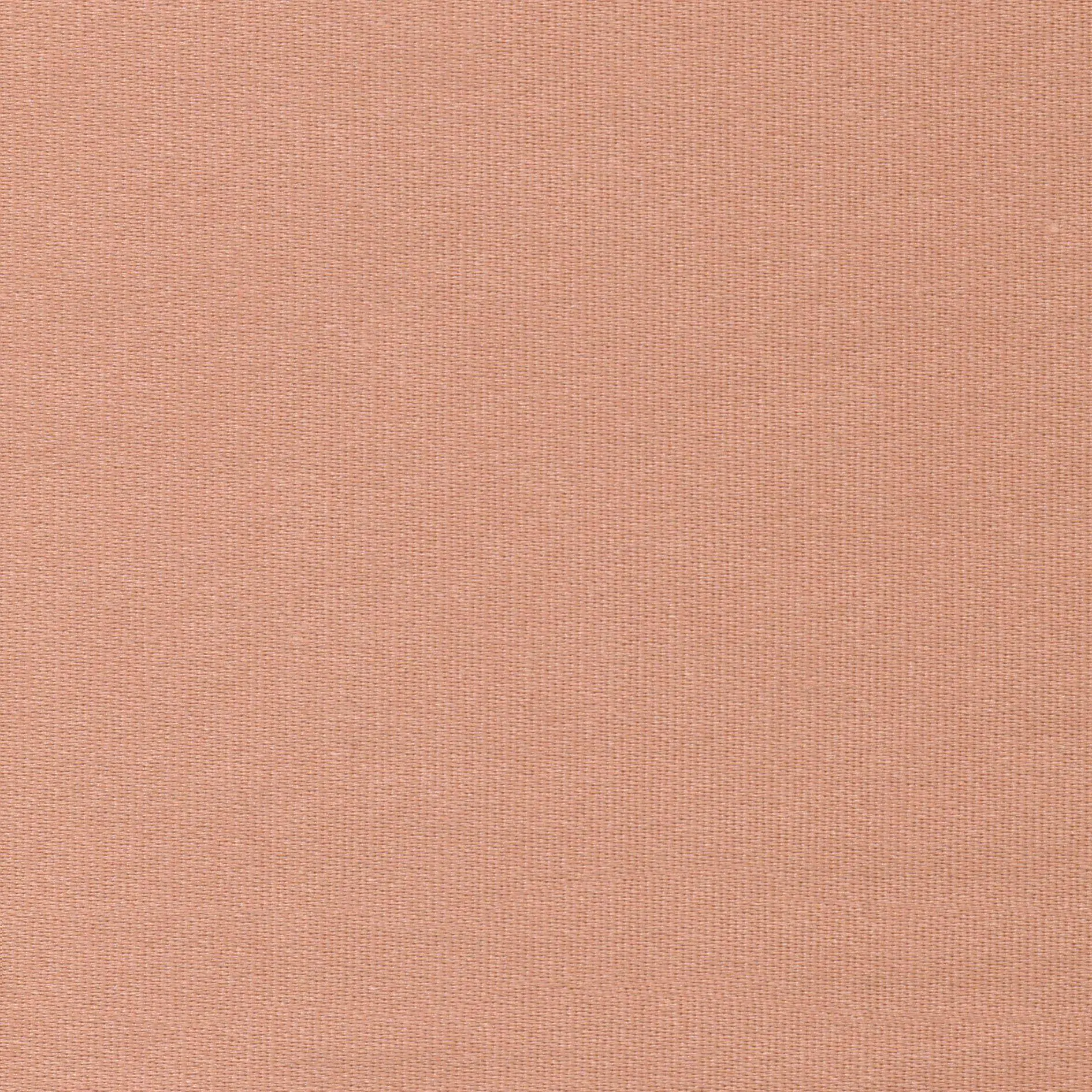 Misty 34 | Melba