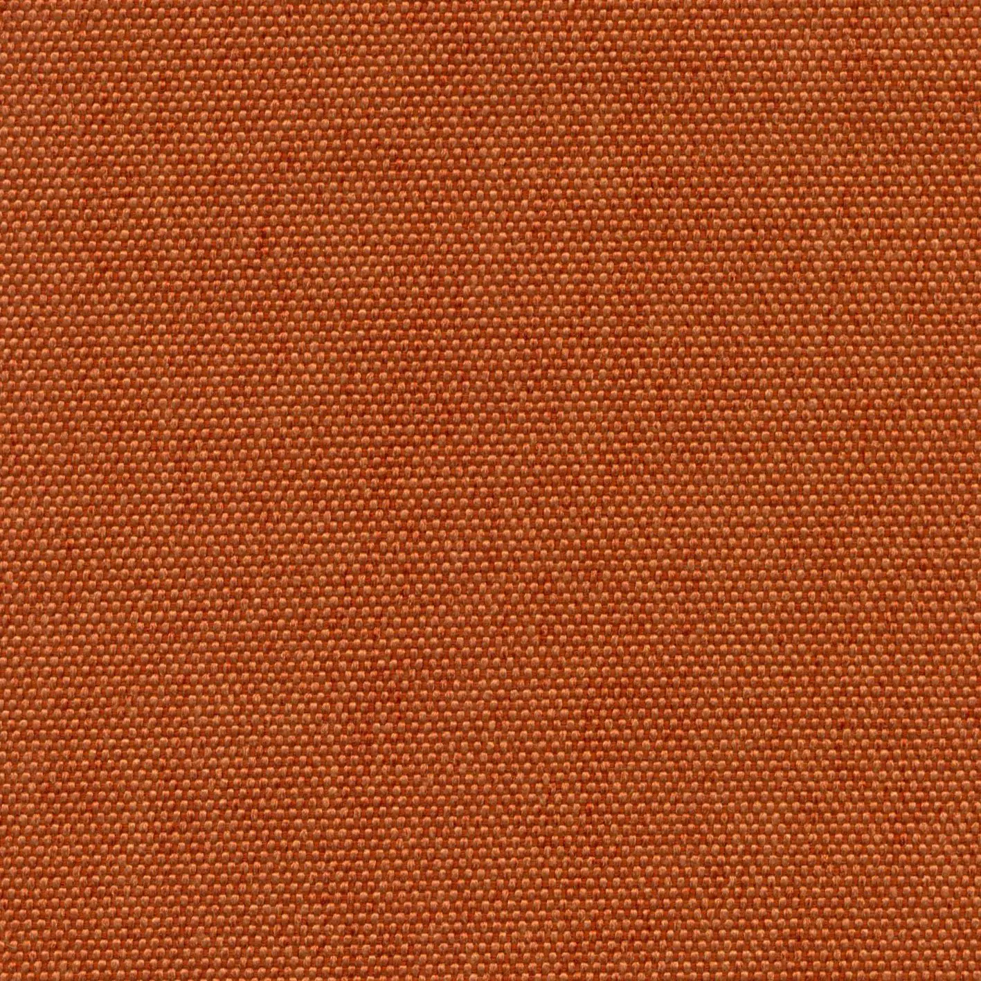 Amberglow 300 | Petrus