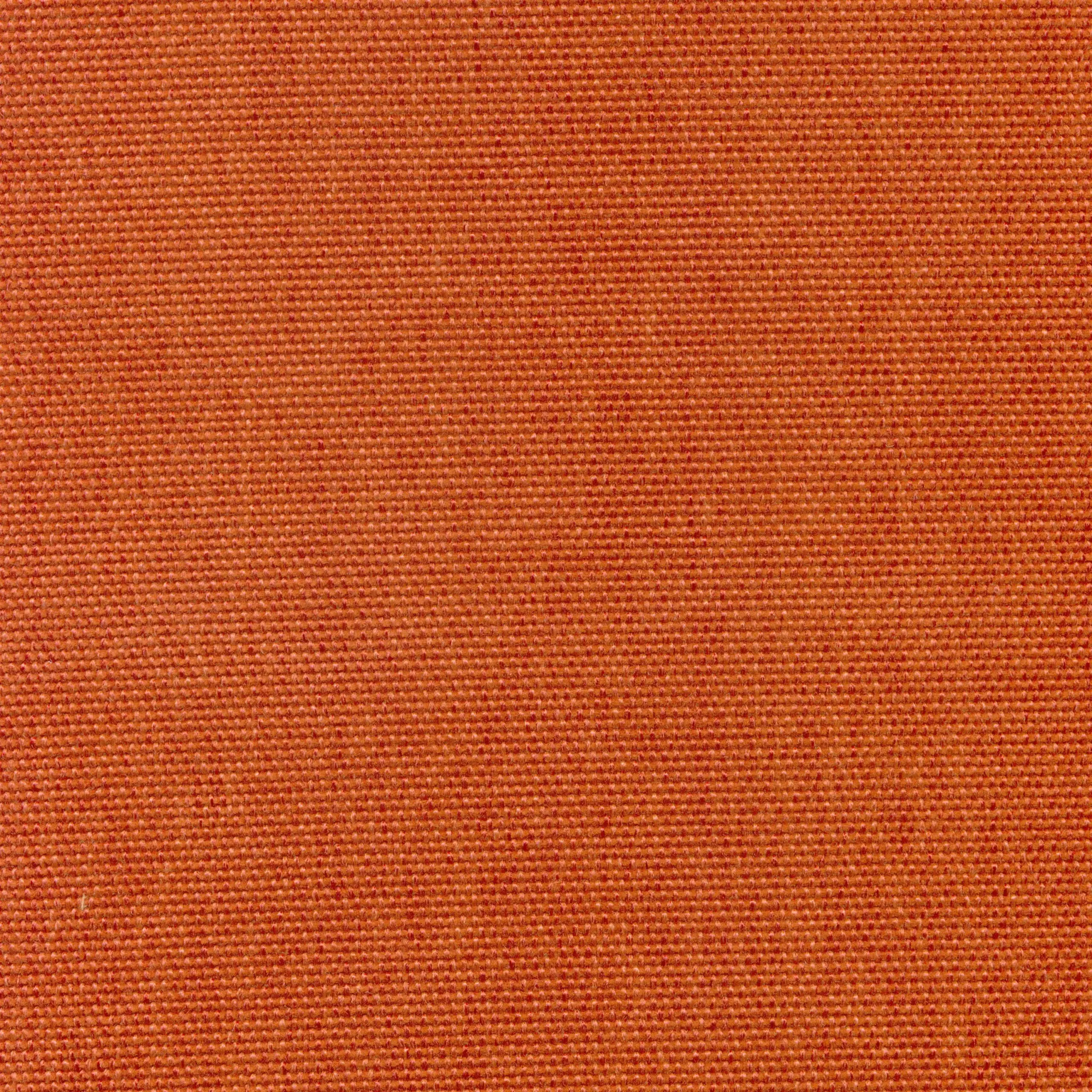 Orange 501 | Sarah