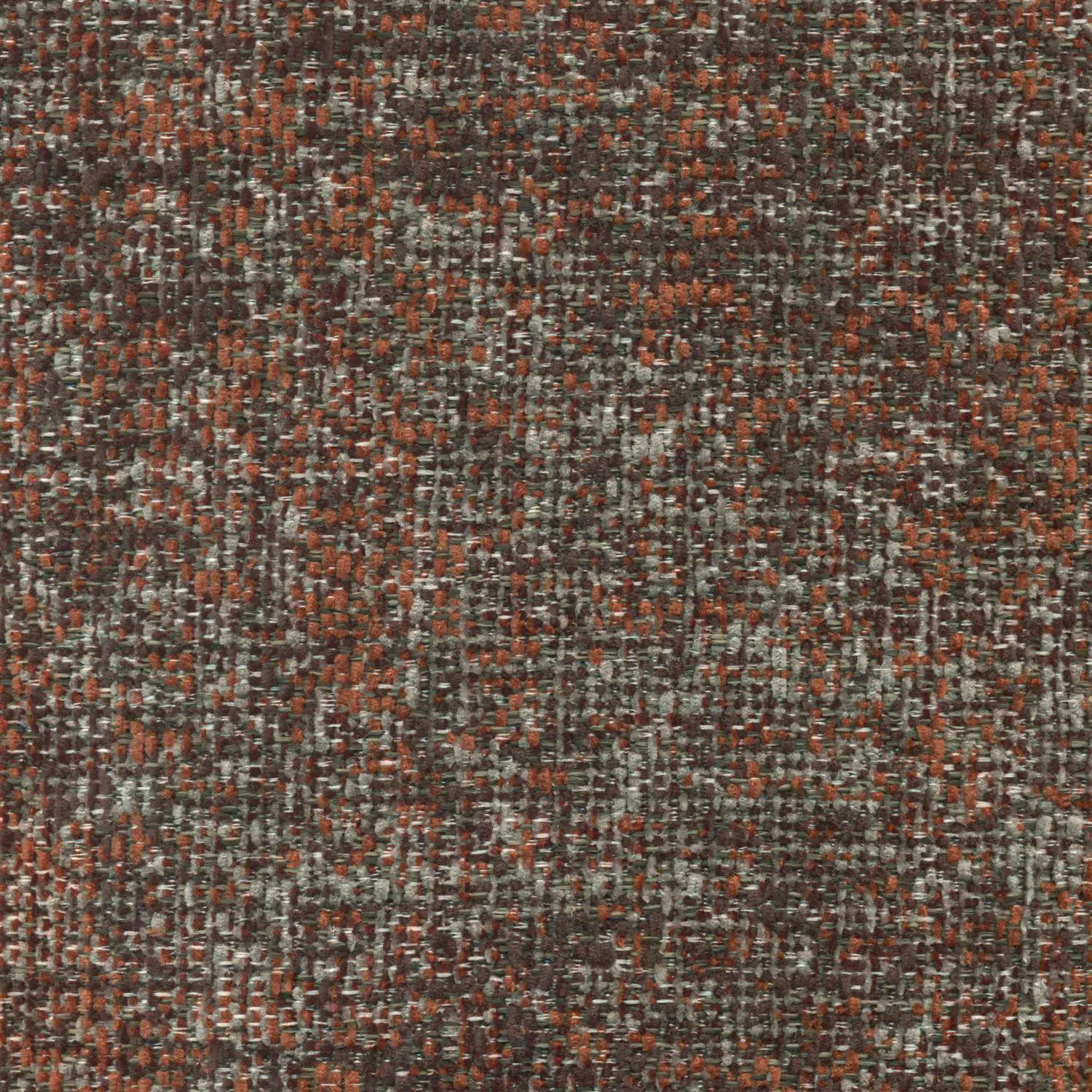 Soil 08 | Prato