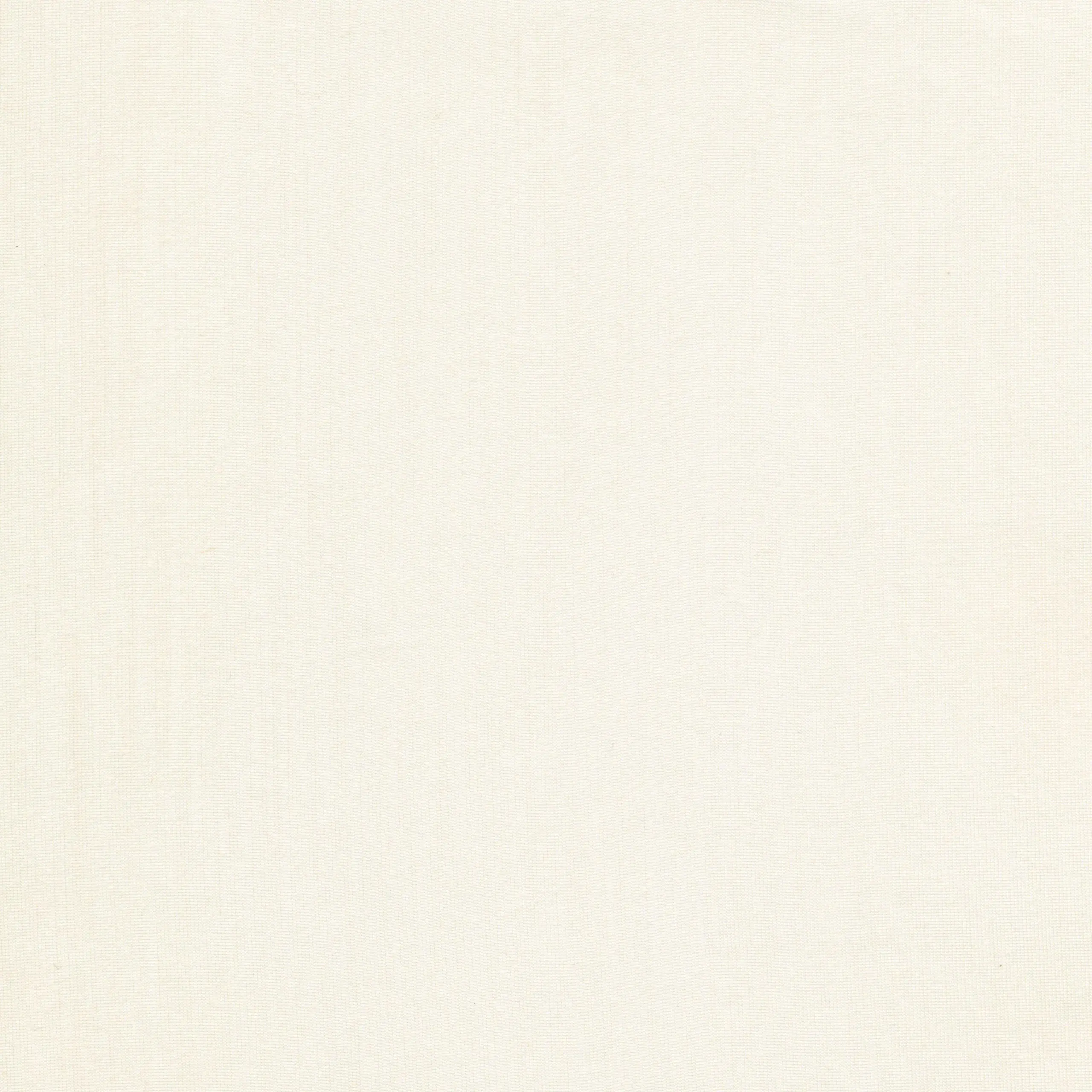 Champagne 61 | Sari