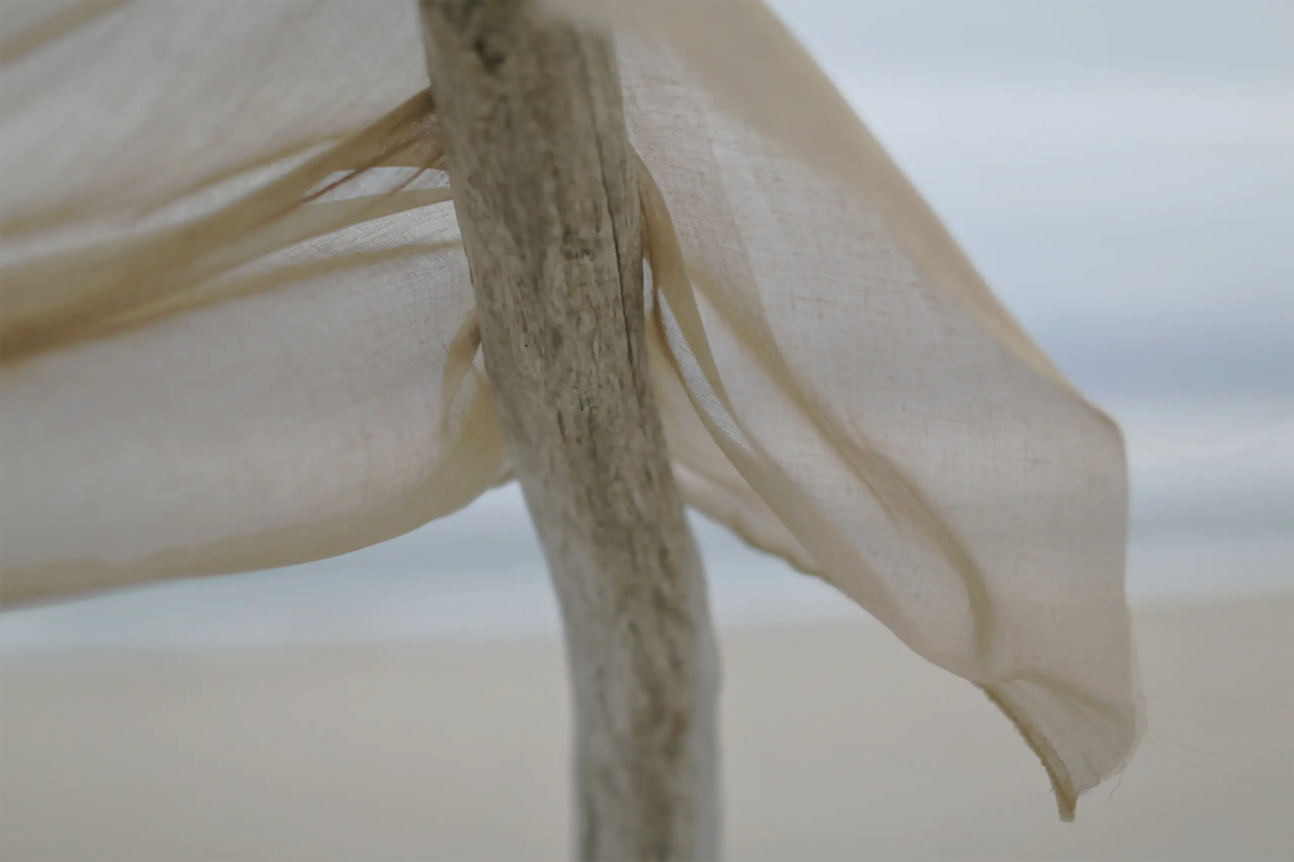 White 503 | Puro
