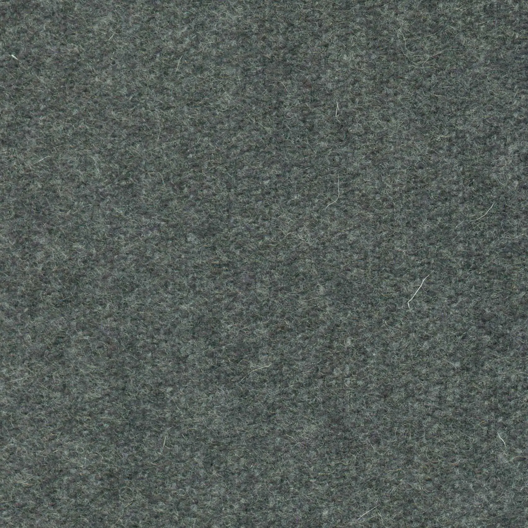 Deep Grey 521 | Savoy FR