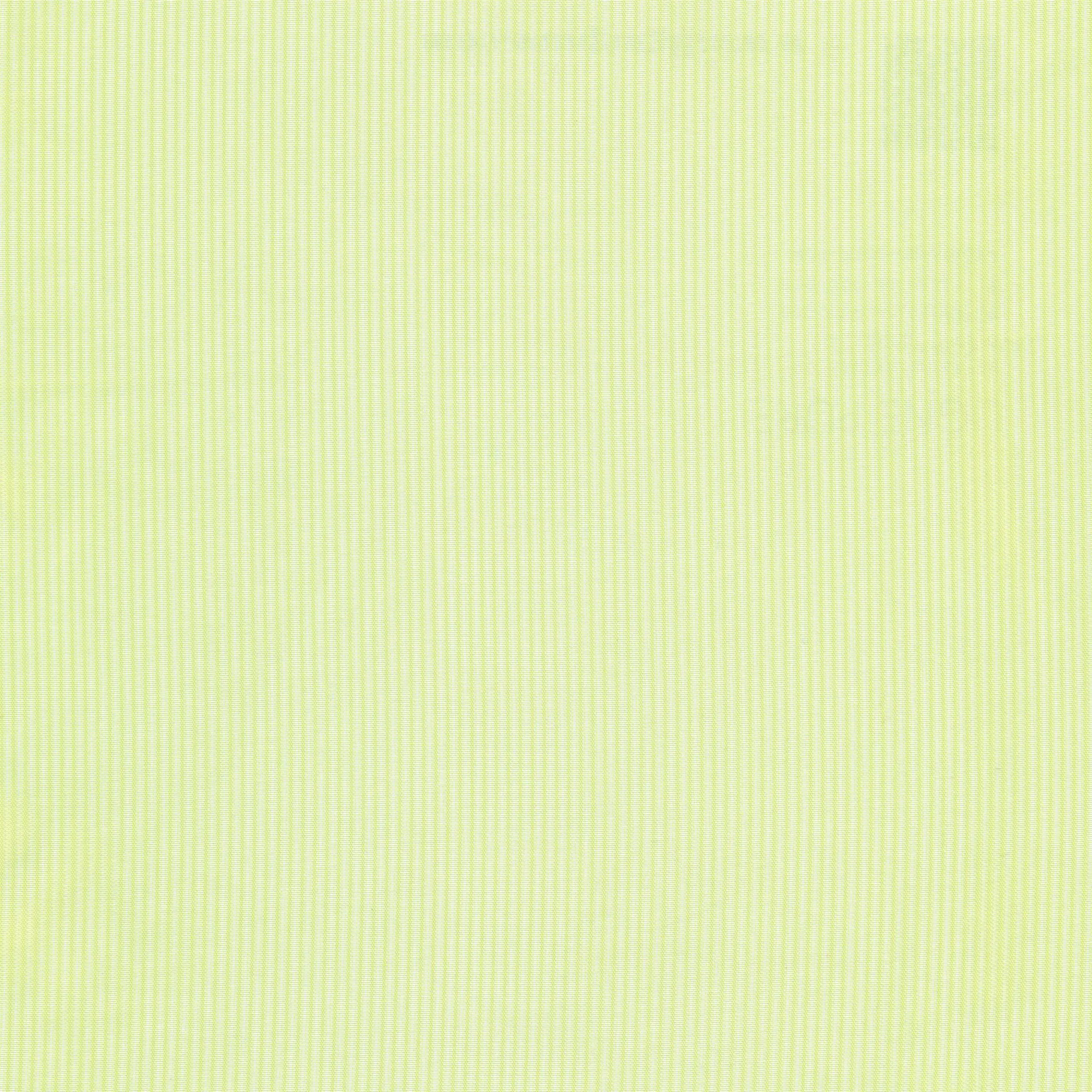 Oasis 37 | Rita