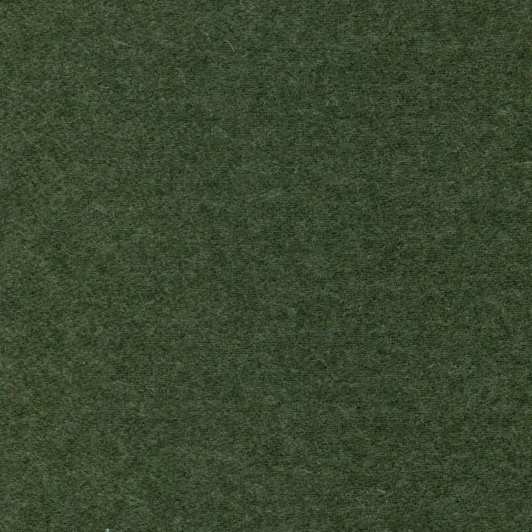 Lichen 24
