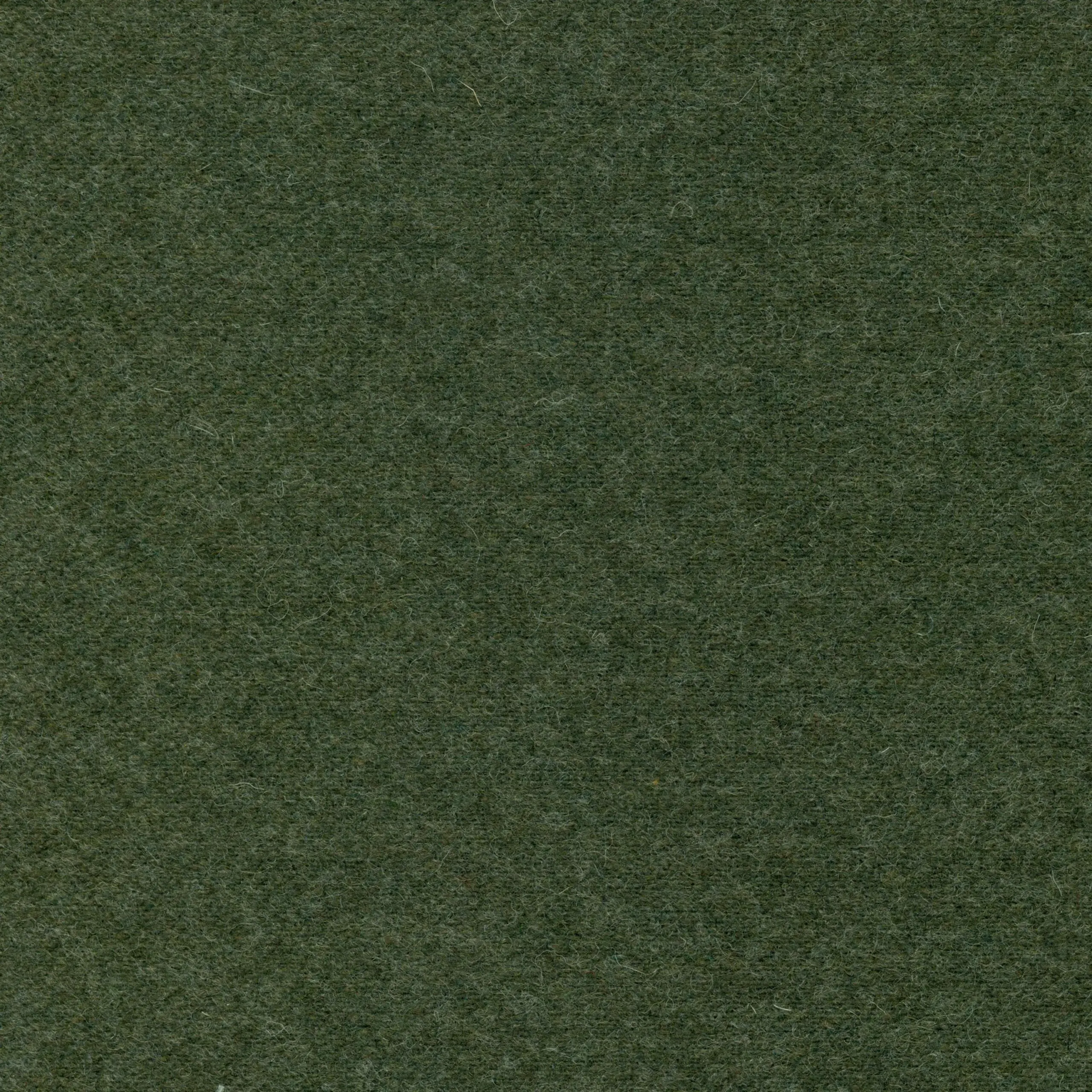 Lichen 24 | Wool