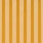 Corn 02 | Kasper