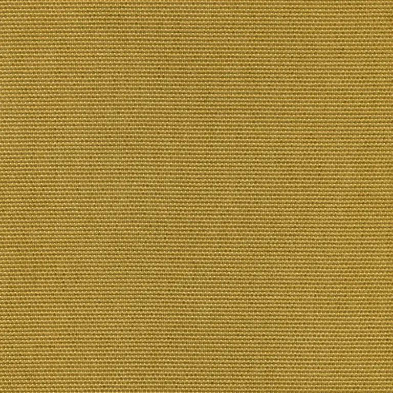 Olive 902