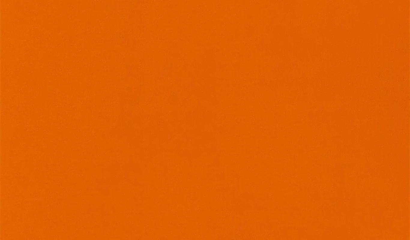 Tangerine 06 | Renard