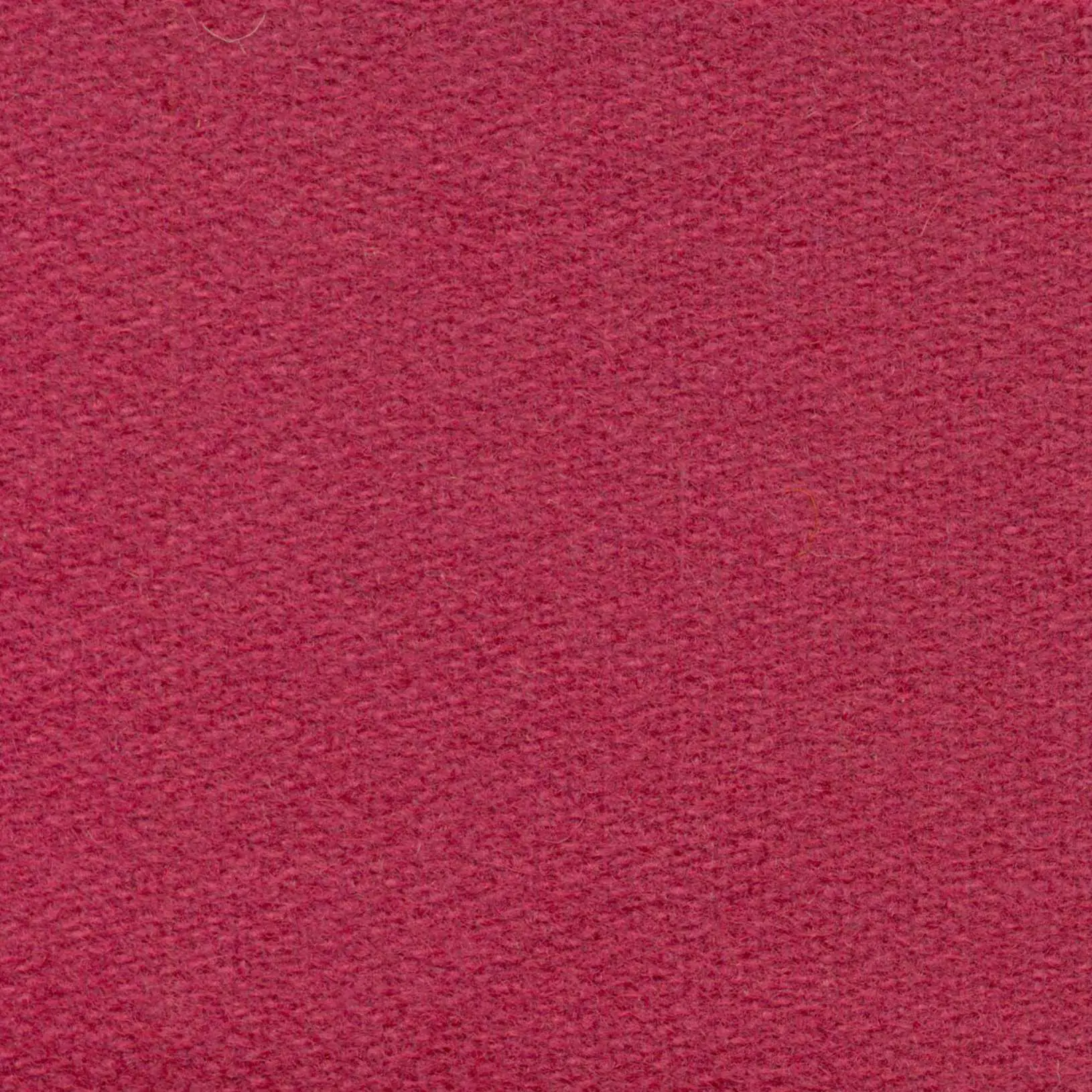 Orchid H480 | Savoy FR