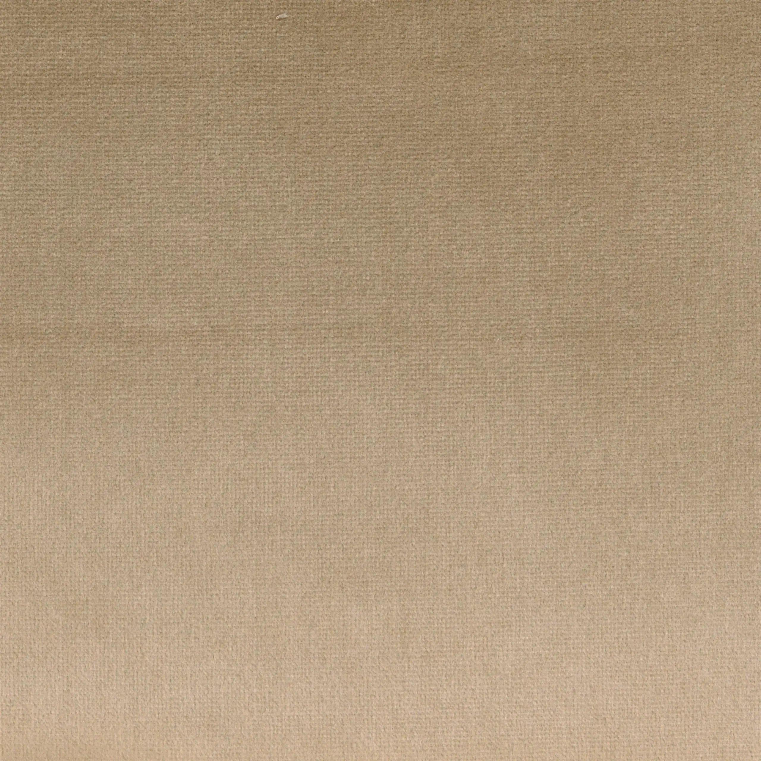 Beige 71 | Yaron