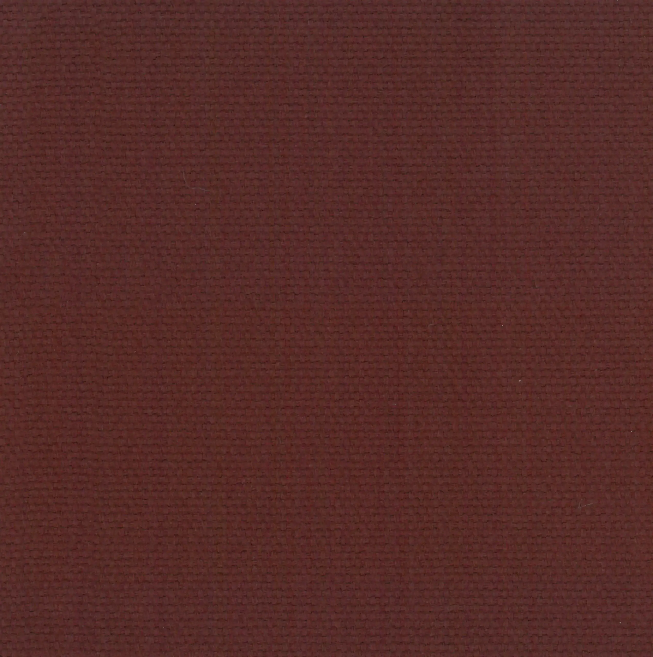 Bordeaux 24 | Ringo