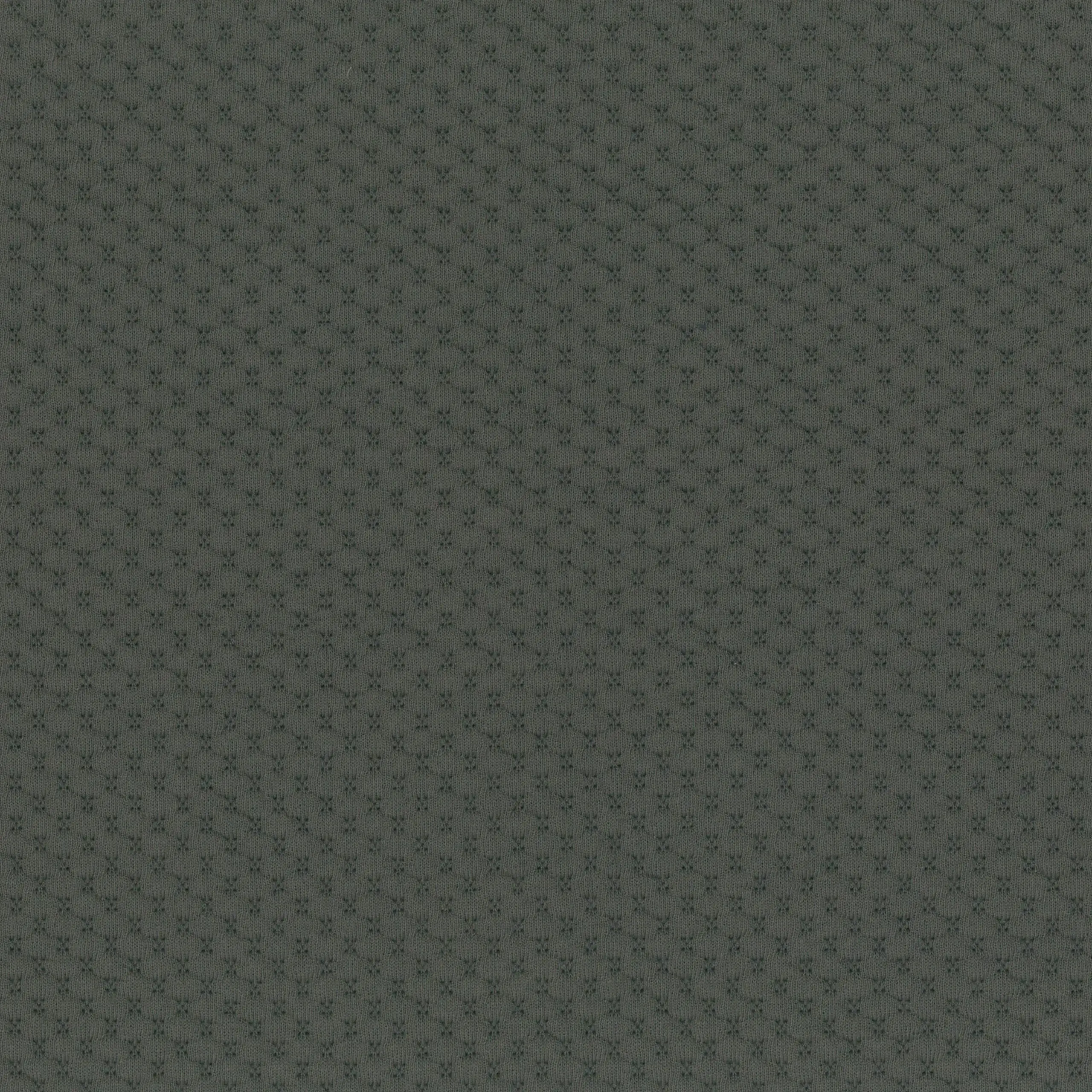 Granite Gray 50 | Palea