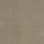 Taupe 17 | Orion