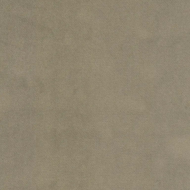 Taupe 17