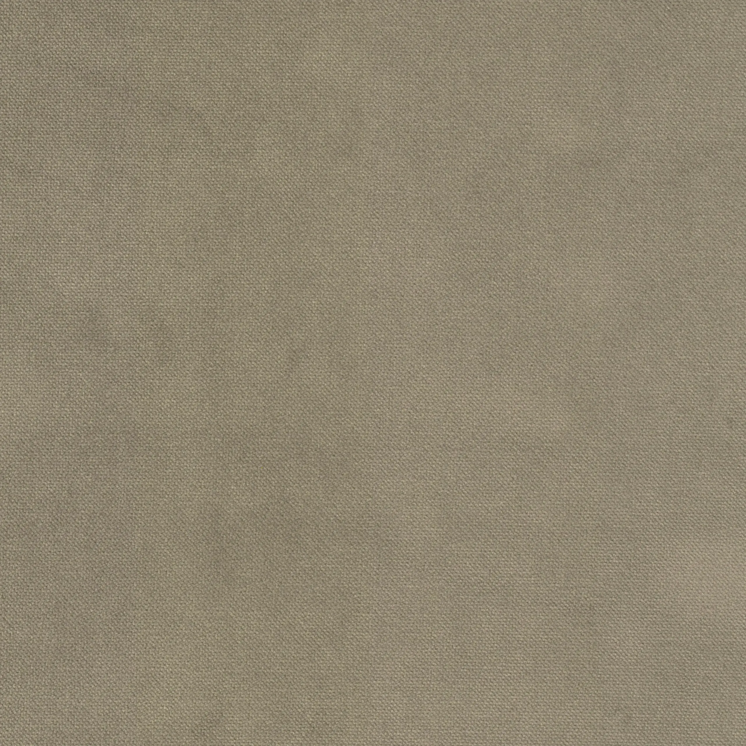 Taupe 17 | Orion
