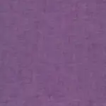 Eggplant 22 | Livia
