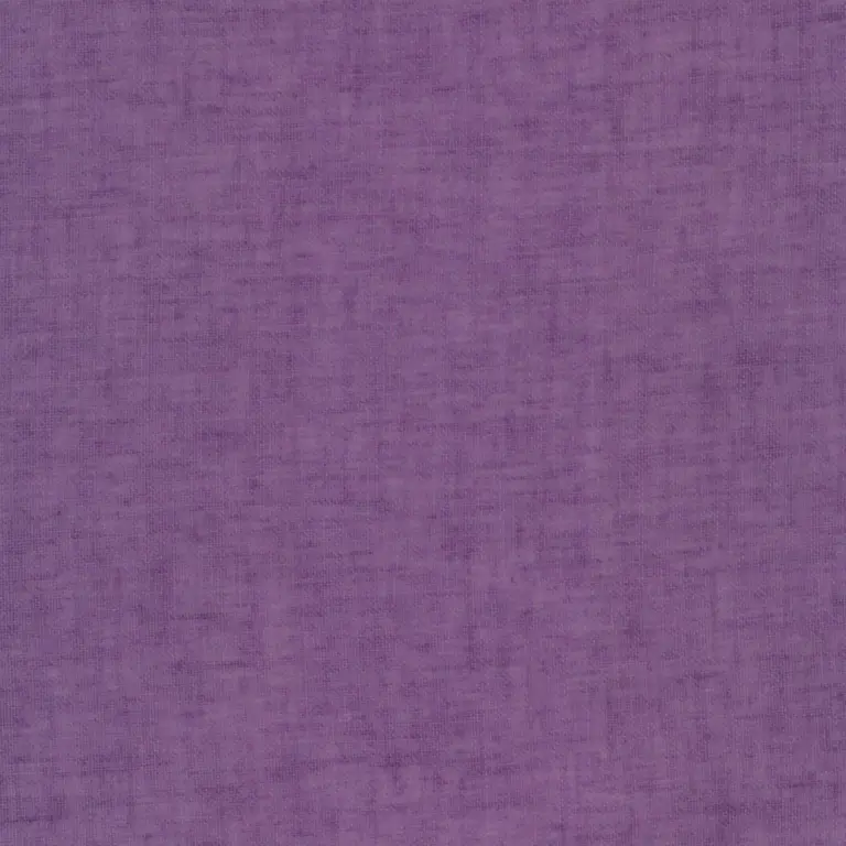 Eggplant 22