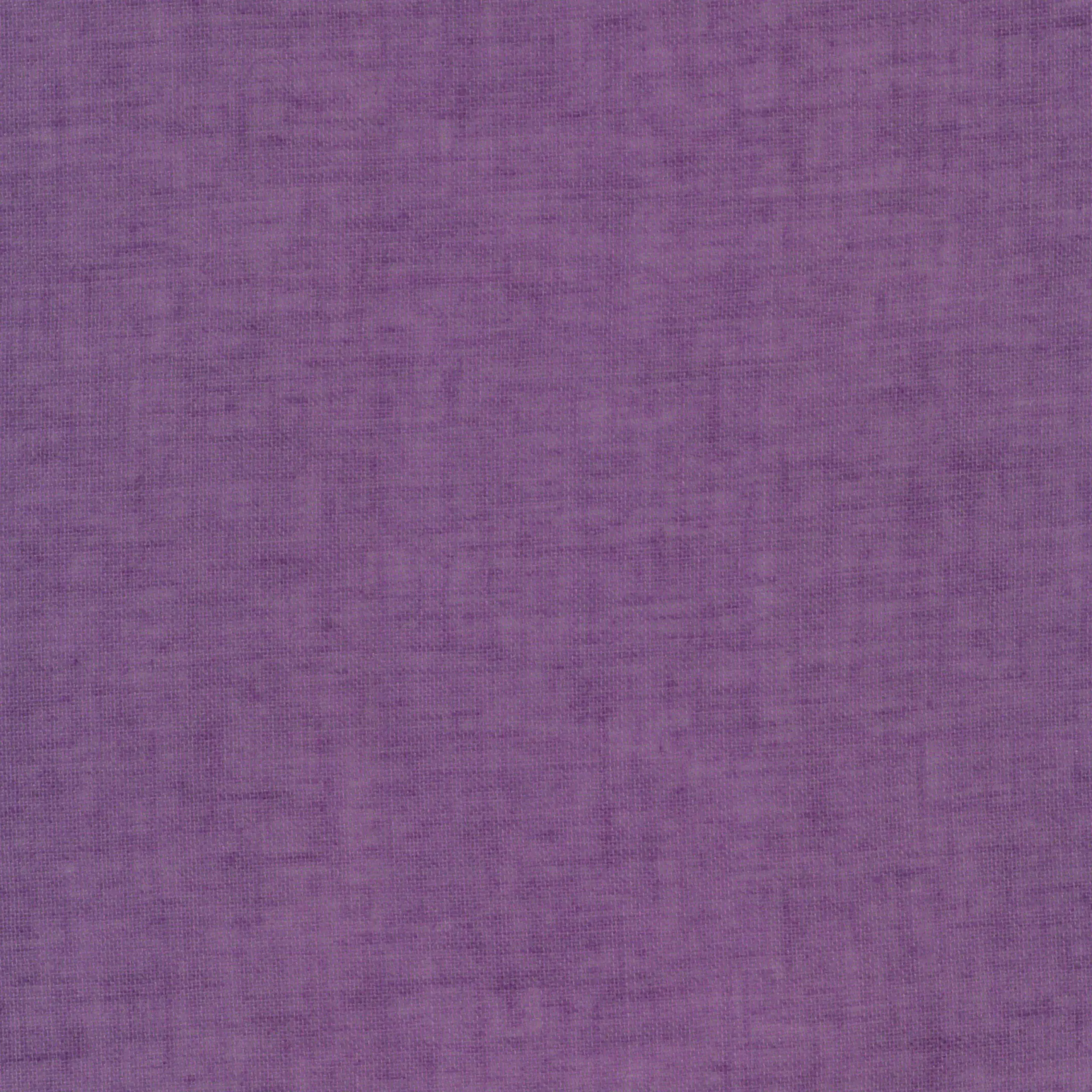 Eggplant 22 | Livia