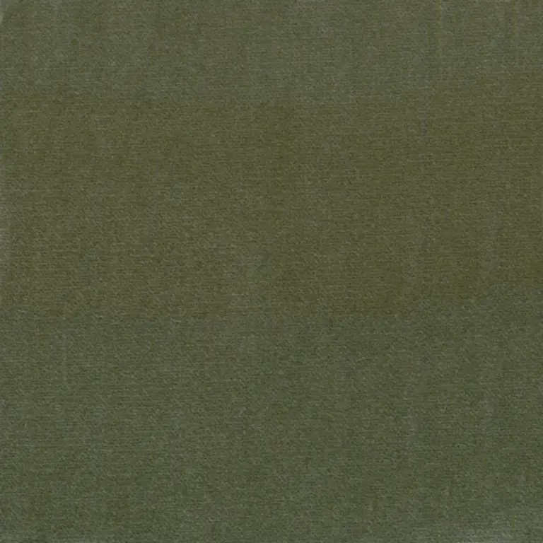 Oliwka 05