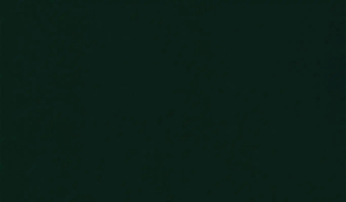 Forest 26 | Renard