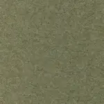 Basil 43 | Wool